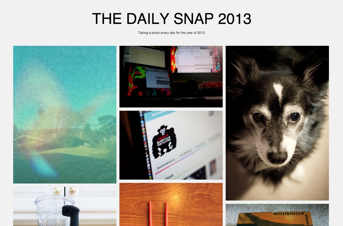 The Daily Snap 2013